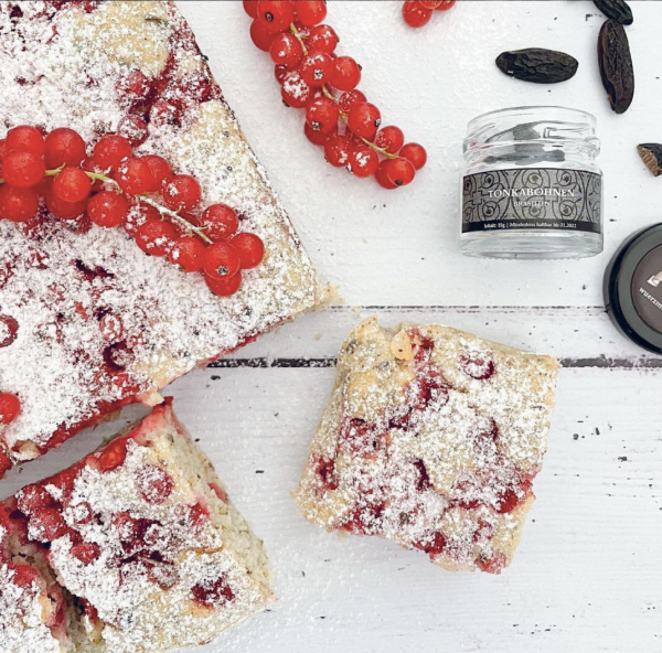 Johannisbeerkuchen mit Tonkabohnen